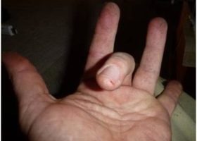 “The finest saw I had owned.”